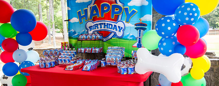 Atlanta Birthday Party Photographer