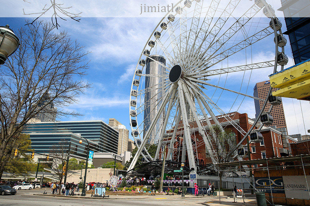 Atlanta Ferris Wheel