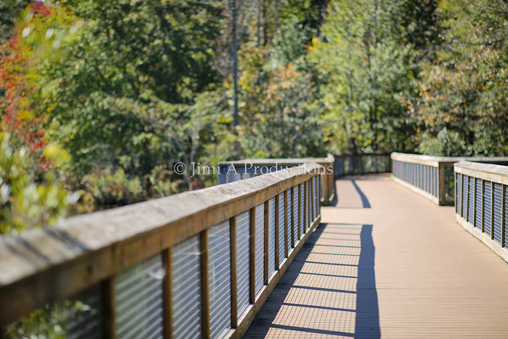 Bridge at Park