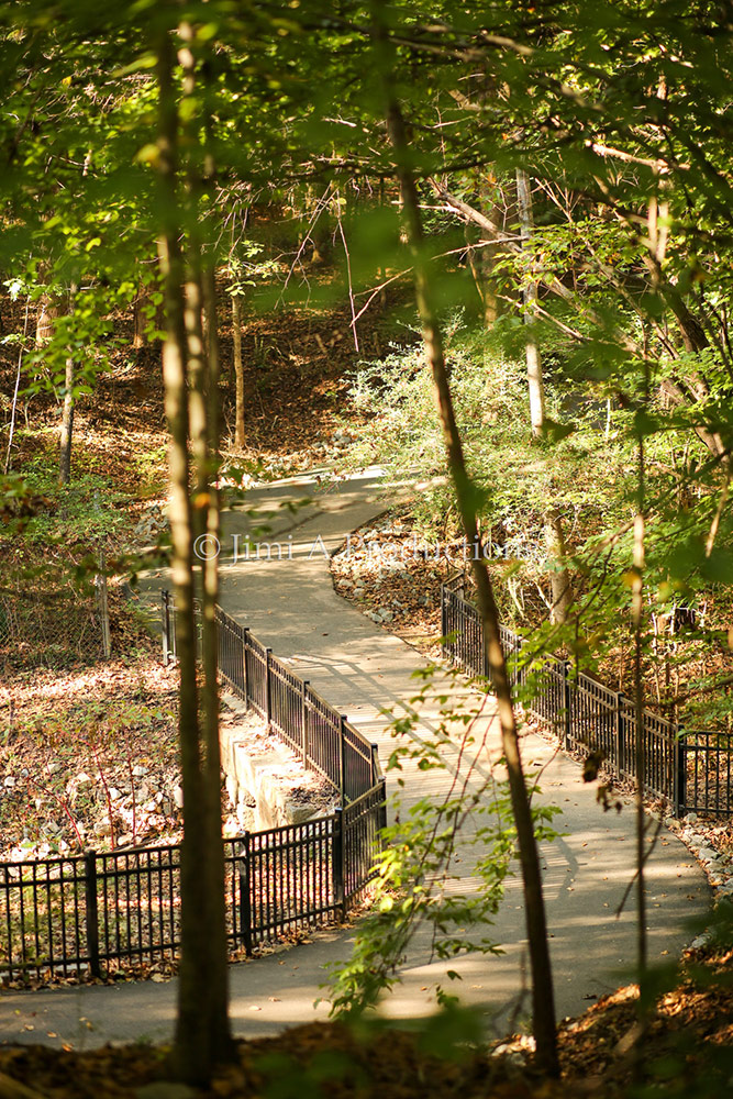 Park walkway