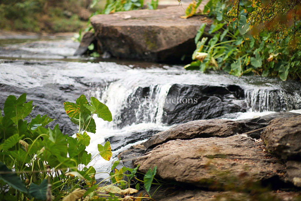 Small Waterfall in River