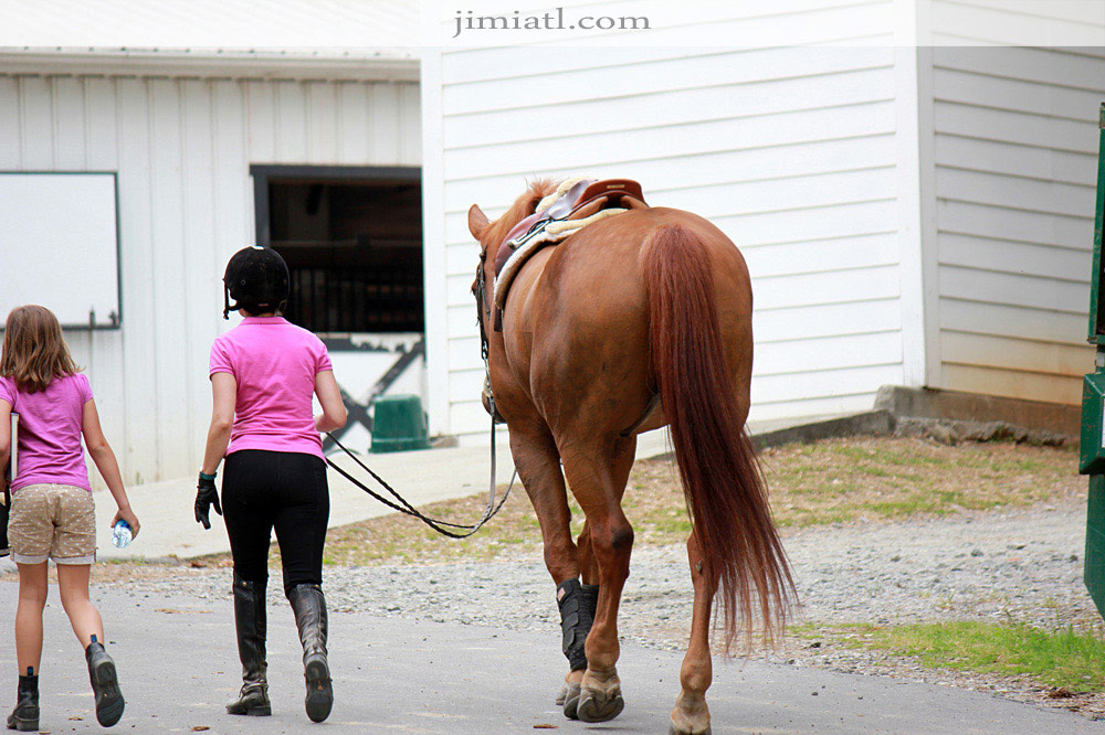 Horse Retreats