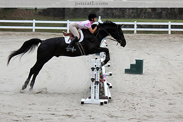 Equestrian goes through course with strong black horse as they jump over an obstacle.