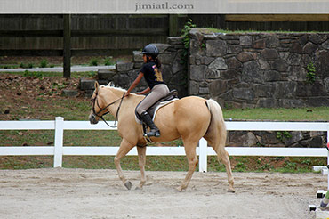 Young girl trains on beautiful horse.